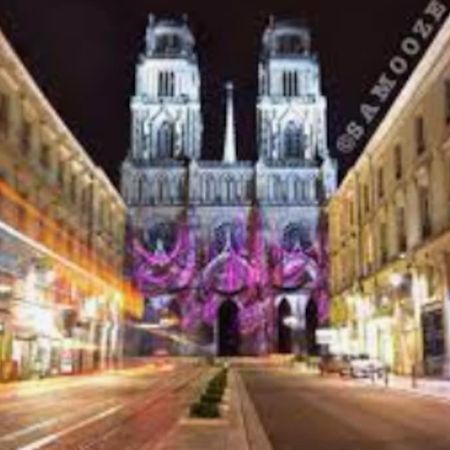 Chaleureux Appart, Proche De La Loire Avec Parking Orleans Exterior photo