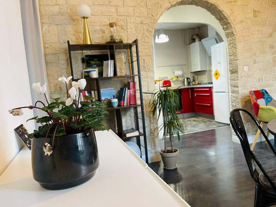Chaleureux Appart, Proche De La Loire Avec Parking Orleans Exterior photo